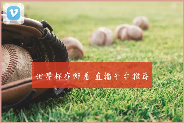 世界杯在哪看 直播平台推荐
