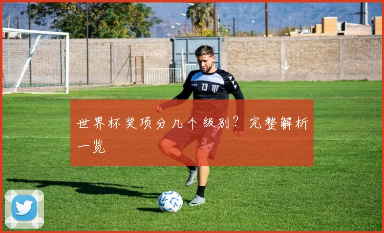 世界杯奖项分几个级别？完整解析一览