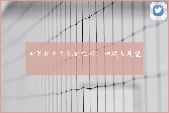 世界杯中国队的征程：回顾与展望