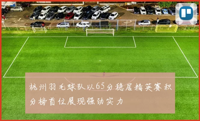 杭州羽毛球队以65分稳居精英赛积分榜首位展现强劲实力