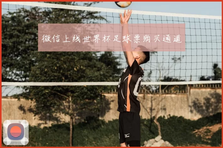 微信上线世界杯足球票购买通道