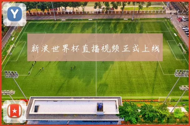 新浪世界杯直播视频正式上线