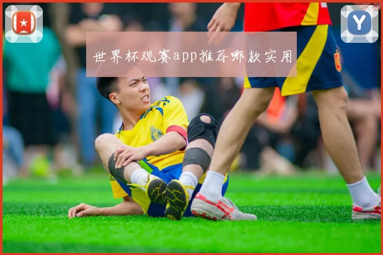 世界杯观赛app推荐哪款实用