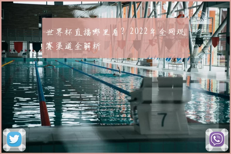 世界杯直播哪里看？2022年全网观赛渠道全解析
