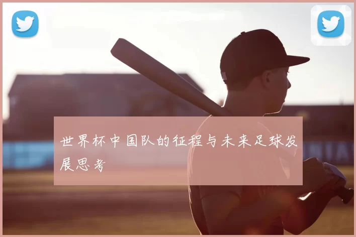 世界杯中国队的征程与未来足球发展思考