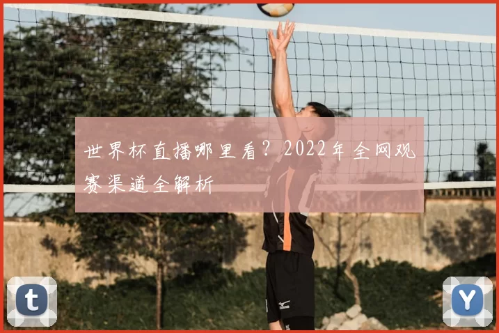 世界杯直播哪里看？2022年全网观赛渠道全解析