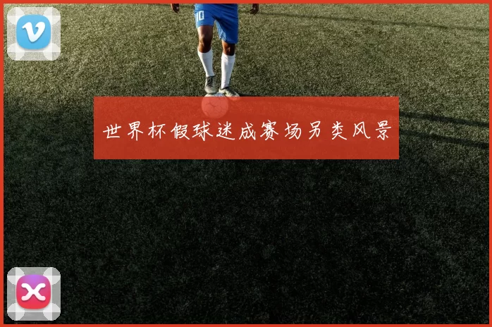 世界杯假球迷成赛场另类风景