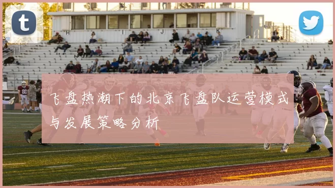 飞盘热潮下的北京飞盘队运营模式与发展策略分析