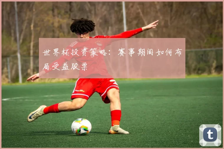 世界杯投资策略:赛事期间如何布局受益股票