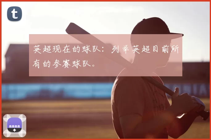 英超现在的球队：列举英超目前所有的参赛球队。
