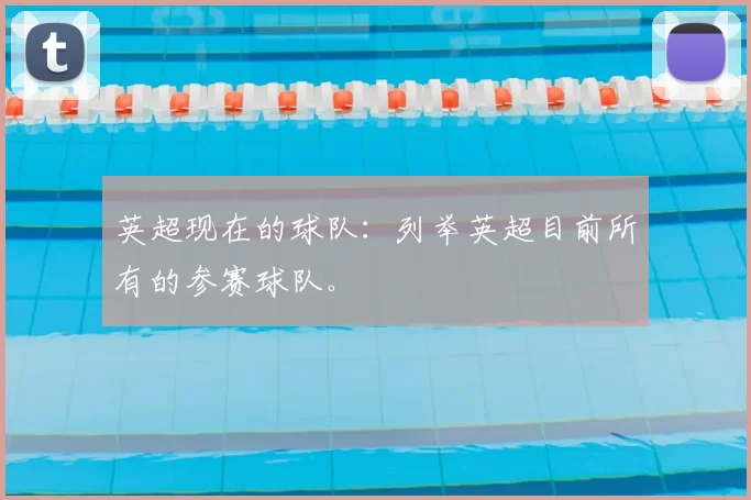 英超现在的球队：列举英超目前所有的参赛球队。
