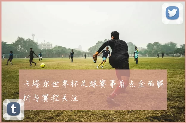 卡塔尔世界杯足球赛事看点全面解析与赛程关注