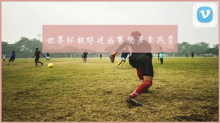 世界杯假球迷成赛场另类风景
