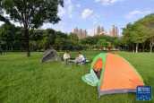 Open urban green spaces, get close to beautiful nature, set up tents | green spaces | nature