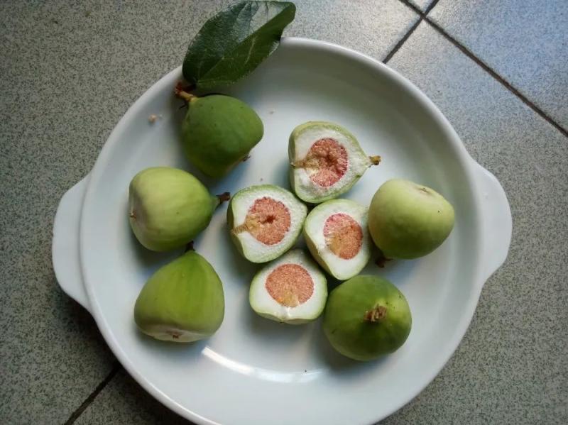 It's very novel! Expert: Don't eat casually. Netizens post mysterious wild fruits: See the fruit first time | Plants | Netizens