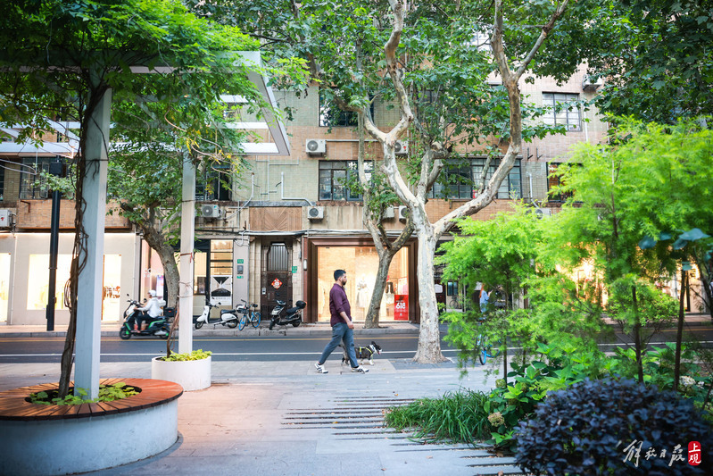 Not only small and beautiful, but also with a sense of design, making the "pocket park" elements within reach of citizens | Huangpu District | Citizens