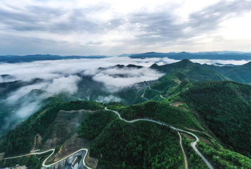 China's low-carbon development helps expand the global green landscape in Guiyang | Green | Global