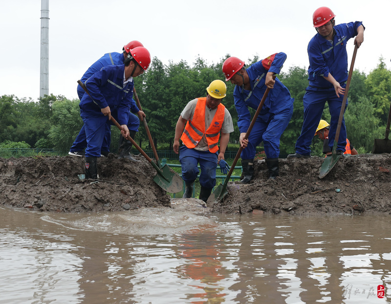 Holding the "Luoyang Shovel" to study archaeology, young people explore the Baodun Ancient City, Sanxingdui, and Jinsha Site, from the end of the river to the head of the river