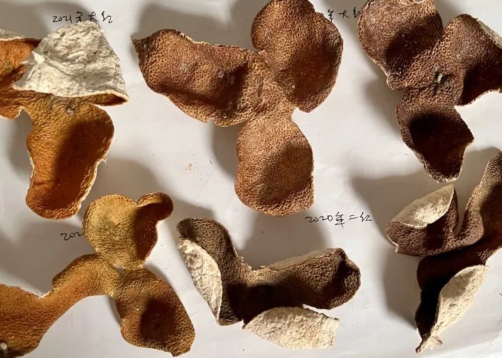 Why exactly?, Hangzhou dad hoarded hundreds of pounds for his daughter's dowry... The price of dried tangerine peel skyrocketed in Xinhui | peeling | dried tangerine peel