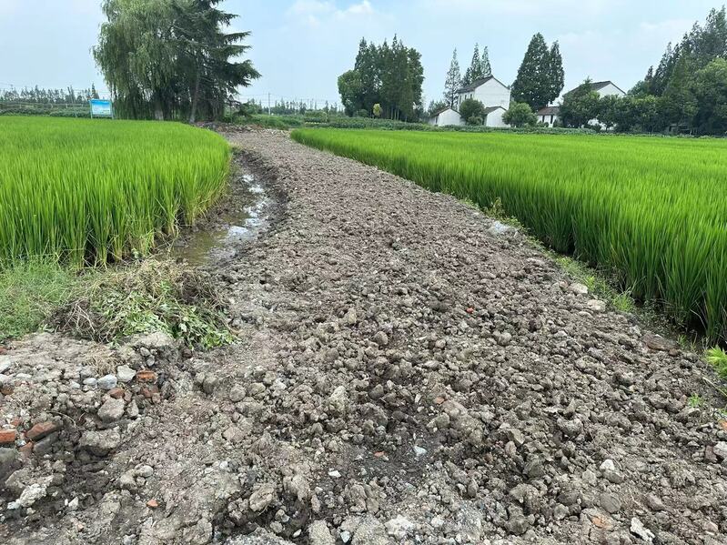 Restore the riverbank to its original state! Two rural waterways in Qingpu have been renovated, and construction waste has been salvaged and cleaned up from the surrounding areas | Rivers | Qingpu