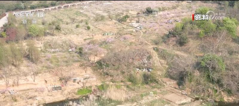 “园在城中、人在园中”生态修复让昔日荒山变身“天然氧吧”森林公园|浮山|修复