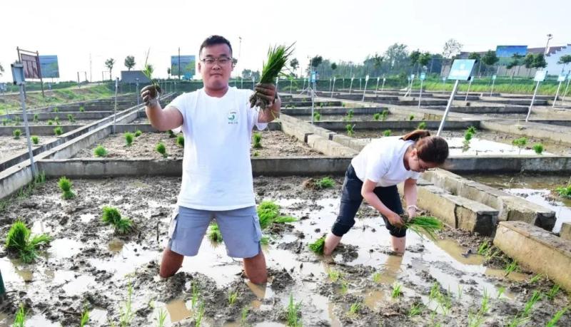 15 PhDs and 36 Masters have emerged from this experimental field!, I graduated from Zhangchi Village with a PhD in rapeseed | Technology | Zhangchi Village