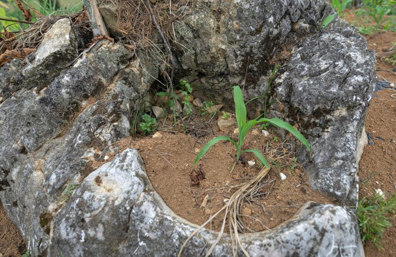 National Highway Journey from Snowy Mountains to the Sea | Modern Version of "Yu Gong Moves Mountains": The Battle of Life and Stones Left | Photo | Life