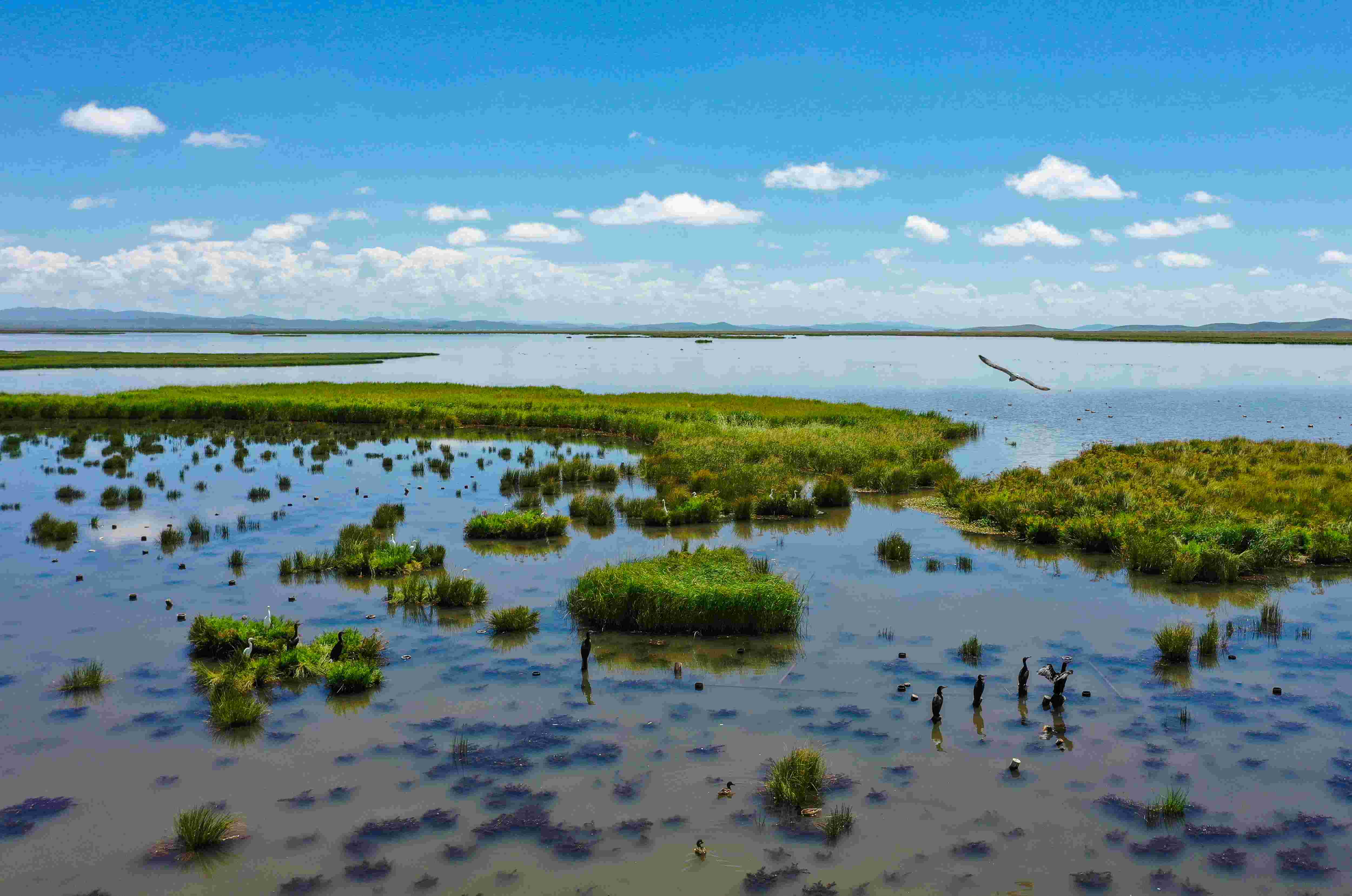 New Era China Research Tour - Yellow River Chapter | Flower Lake Butterfly Transformation