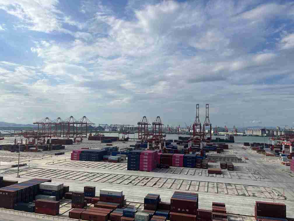 High Quality Development Research Tour | Witnessing the Economic Vitality of the Greater Bay Area at the Smart Port - Visiting Nansha Port in Guangzhou and Seeing the Port Area | Wharf | Vitality