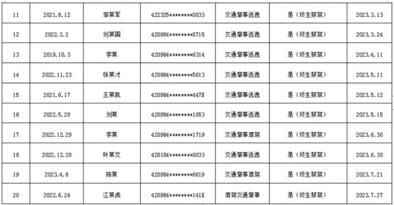 Hubei police exposed: These 20 people are prohibited from driving for life | road traffic | police