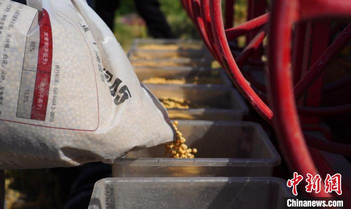 新疆兵团示范试验麦后复播大豆免耕精播滴灌技术大豆|试验|免耕