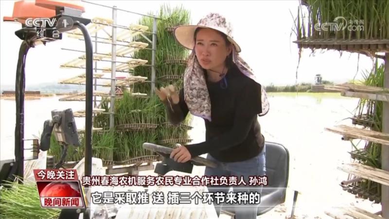 Sun Hong: Female Agricultural Mechanist in charge of galloping in the fields | Sun Hong | Agricultural Mechanist