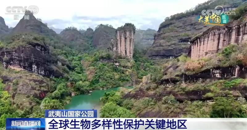 Follow the aerial camera into Mount Wuyi National Park to see the harmonious coexistence between man and nature, a beautiful picture scroll world | ecology | picture scroll