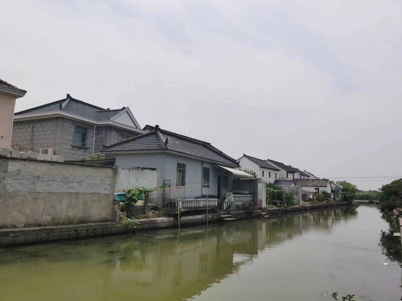 生活秩序是否正常？记者去青浦朱家角看了看,地震后房屋是否完好景区|古镇|生活