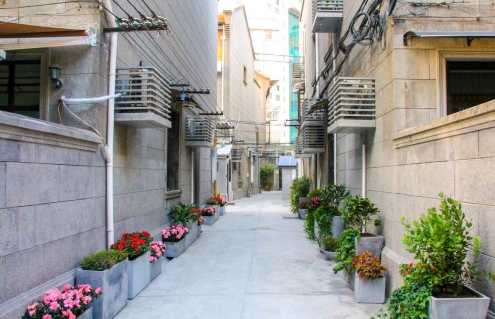 The city center's scenic area is facing difficulties in governance... There are many internet celebrity stores with high traffic, incomplete old houses, and many staff members in historical buildings | Information | Houses