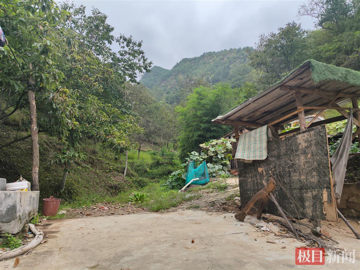 项目曾获多部门认可,建设一年半仅见门楼,陕西商洛一小视频基地宣称投资1.5亿元