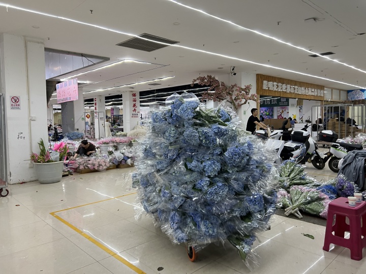 Who was ultimately harmed by infringement? The lawsuit against the best-selling domestically produced hydrangea flower has reached the highest court