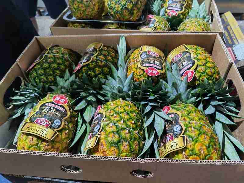 The reason why imports have both scale and speed has been found... In the past week, 20 containers of Philippine black diamond pineapples have become popular in Southeast Asia | Shanghai Port | Outer Ports | Import Expo | Black Diamond pineapples | Imported fruits | Internet famous fruits | Philippines