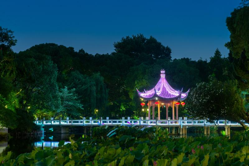 How can "Night Park" avoid homogenization? The 500 year old classical garden in Shanghai attempts a "time travel" activity | Night tour | Landscape