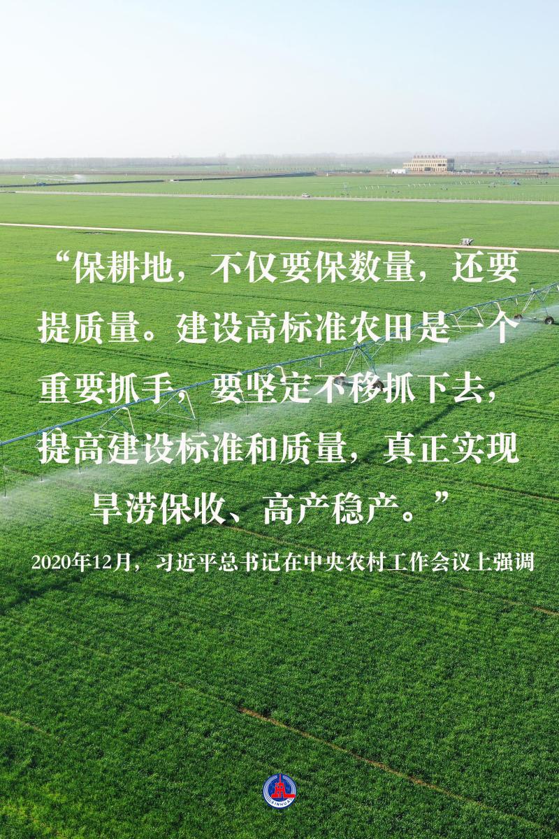 General Secretary Xi Jinping is concerned about building a solid foundation for a bumper harvest | hiding grain in the ground, hiding grain in the technical red line | cultivated land | Xi Jinping