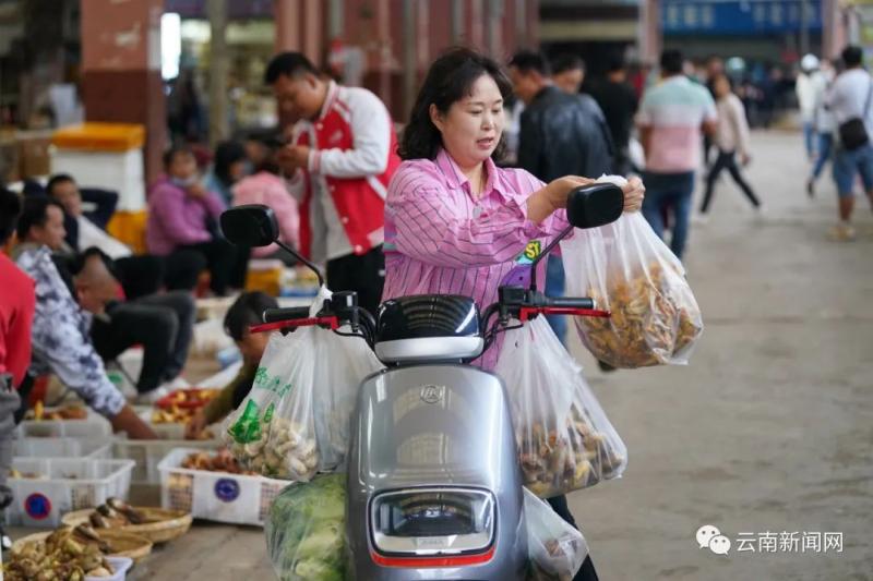 Poisoning warning! "Wild Mushroom Magic Season" Comes Again, Netizens | People | Warning