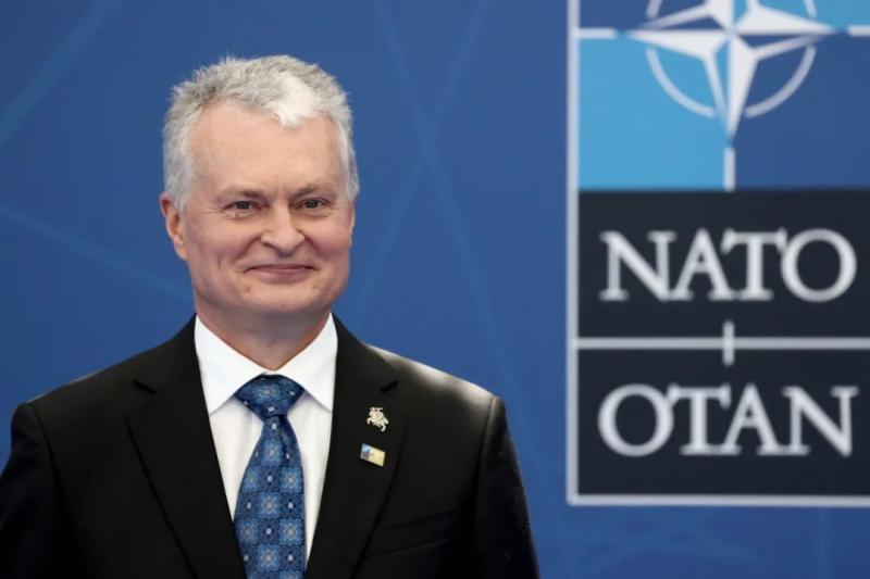 Lithuanian President: NATO Summit Will Make Ukraine "Very Satisfied" Lithuania | President | Ukraine