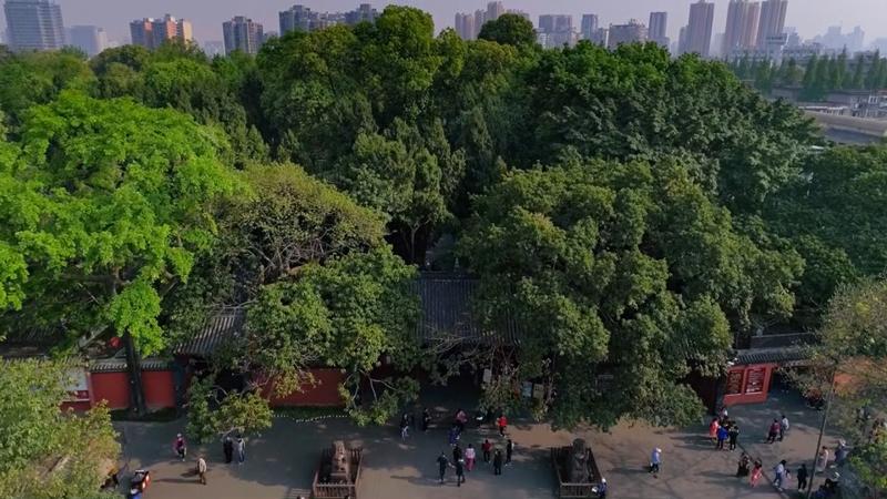 Youth Movement · Poetic Chengdu | Searching for the "Three Kingdoms" Shrine in Wuhou Temple | Du Fu | Youth