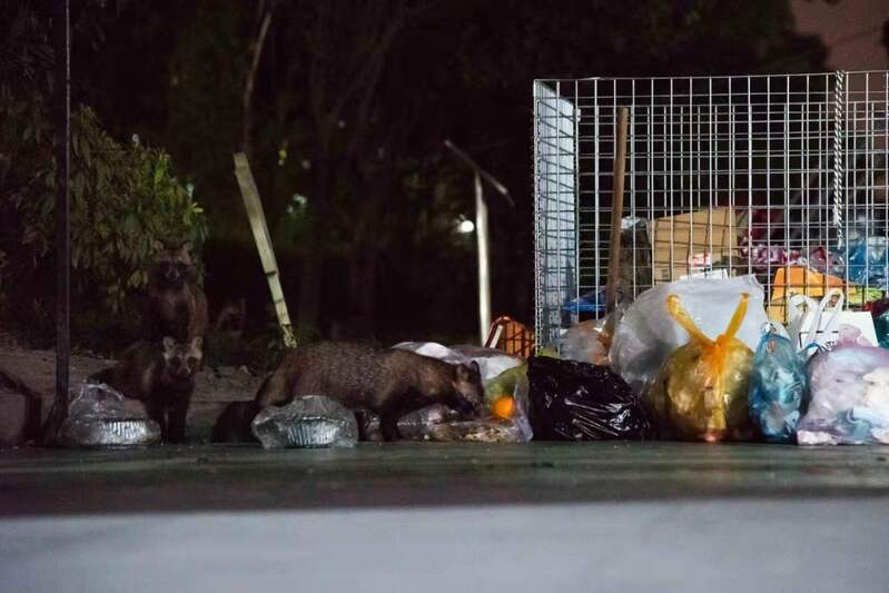 Doing things that have never been done before in the country, drilling into the grass with a flashlight and paper, welcoming a stranger grid in 56 communities in Shanghai on rainy nights | communities | strangers