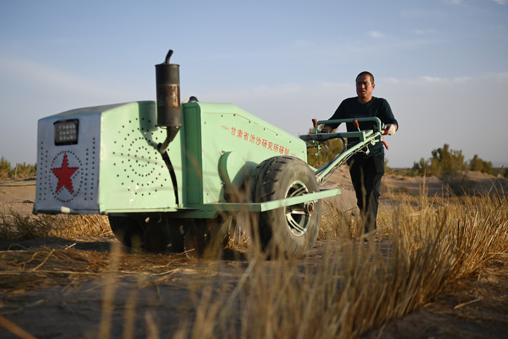 "Green Dyed" Homeland - Gansu Practice of Three Dimensional Sand Prevention and Control, Embracing Gulang County in Wuwei City | Babusha | Desert