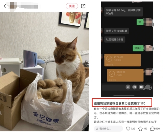 The reporter personally experienced and found that someone sold more than 200 yuan per gram of cat hair recycling? Bloggers bring products to raise doubts about cat hair | Bloggers | Recycling