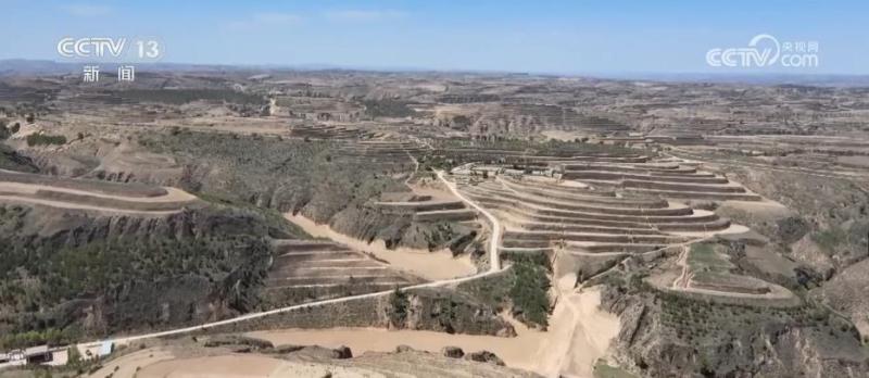 Seeing Beautiful China, the Loess Plateau has transitioned from "yellow" to "green" with a vegetation coverage rate of over 63%. Green mountains | ecology | green vegetation