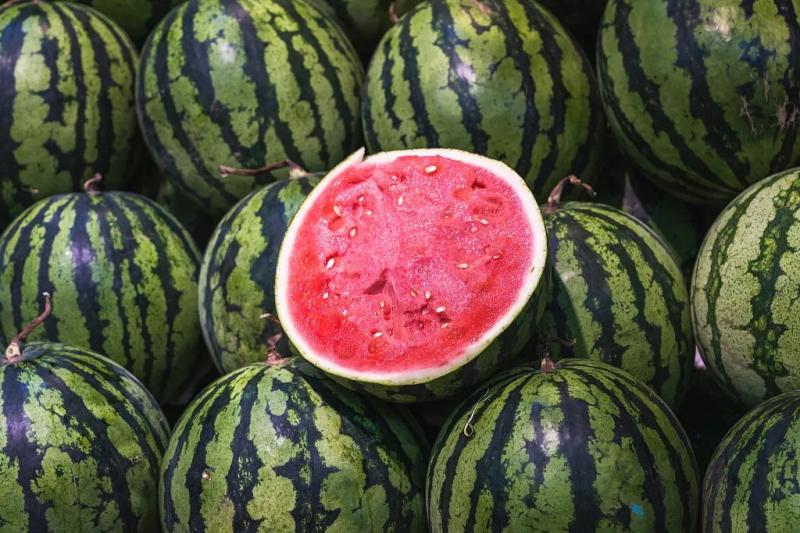 You can distinguish between raw and cooked by listening to the sound, and the "Gua Pai Shi" has become popular! Shooting tens of thousands of melons every day | Economic development | Melon master