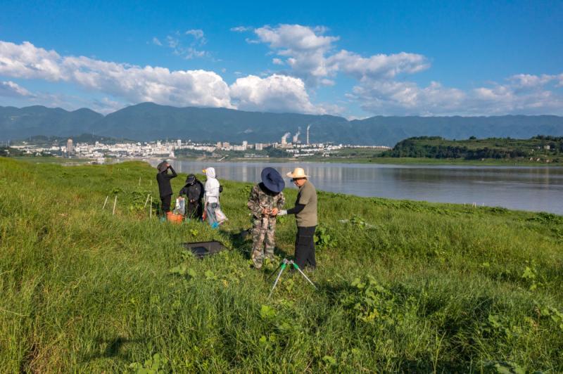 Writing a New Picture of Beautiful China -- The Story of General Secretary Xi Jinping Leading the Construction of Ecological Civilization Xi Jinping