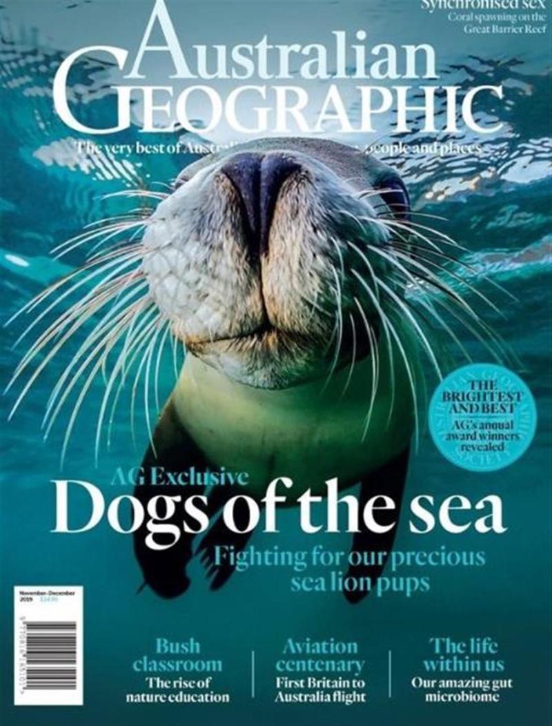 135 years of history coming to an end: The print edition of National Geographic magazine will be discontinued next year | Author | United States